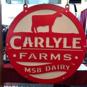 custom667ded8b295e5_Laser multi Carlisle sign