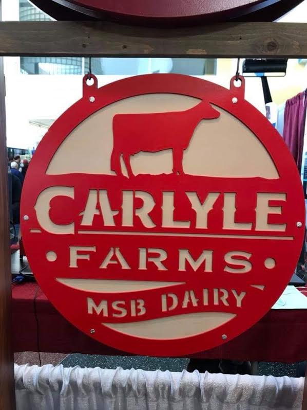 66994c528df02_667ded8b295e5_Laser multi Carlisle sign